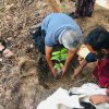 ‘Haritha Deyak’ National Home Gardening Program